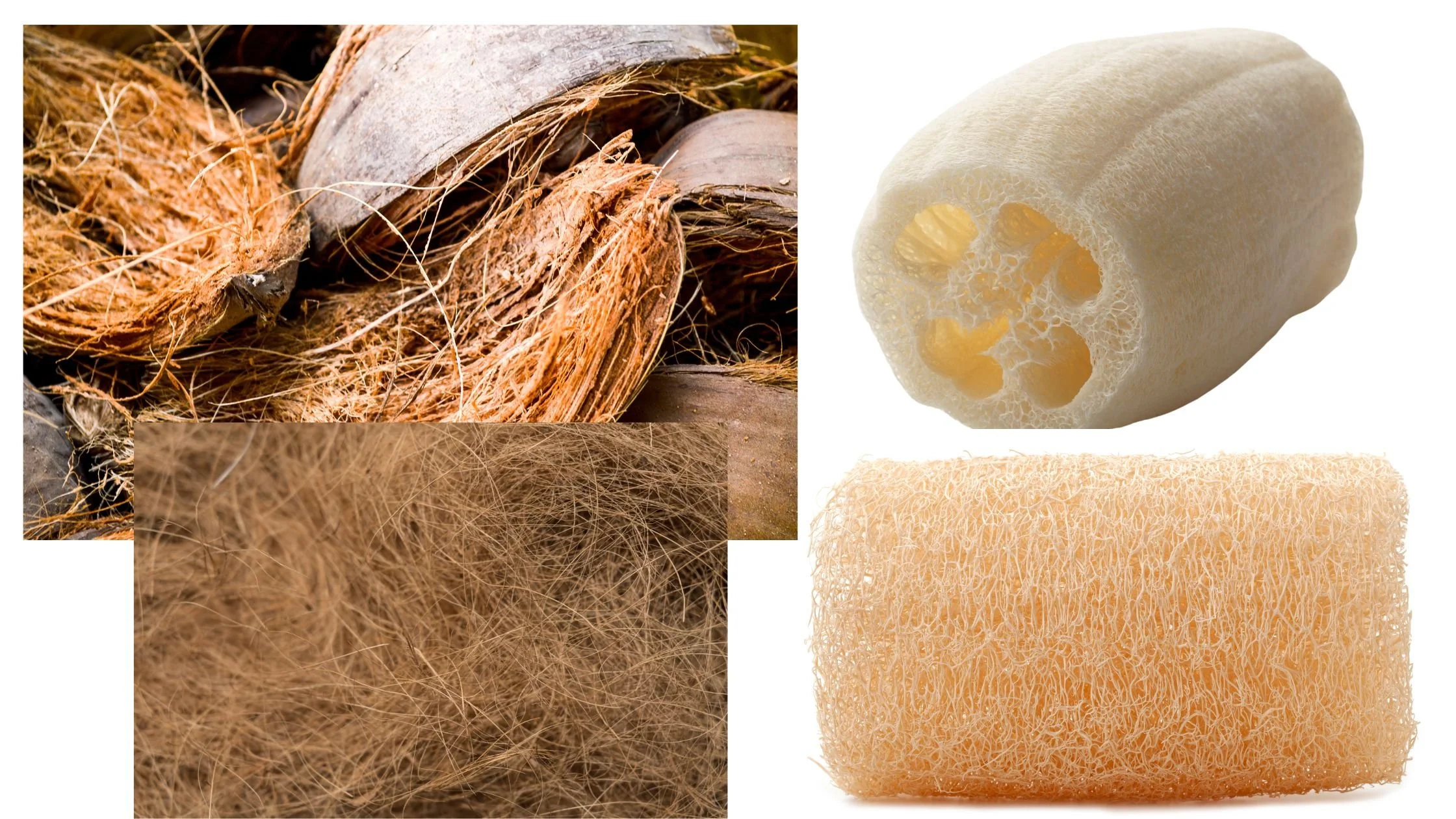 Beauty Health Exfoliative and Environmental Benefits of the